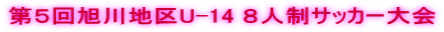 T񈮐nU-14 WlTbJ[ 