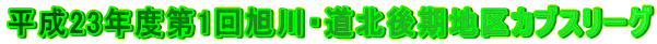 23Nx1񈮐EknJuX[O