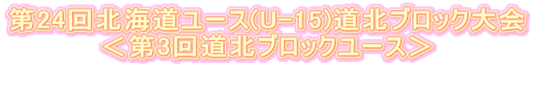 24kC[X(U-15)kubN 3񓹖kubN[X 