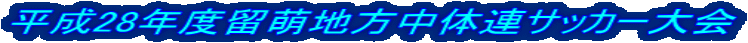 28NxGn̘ATbJ[