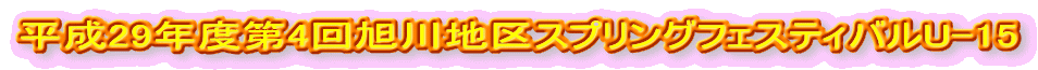 29Nx4񈮐nXvOtFXeBoU-15