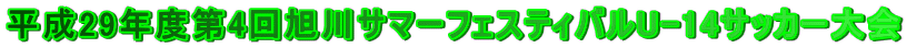 29Nx4񈮐T}[tFXeBoU-14TbJ[