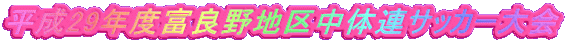 29Nxxǖn撆̘ATbJ[