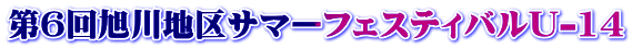 6񈮐nT}[tFXeBoU-14