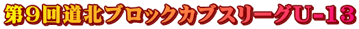 9񓹖kubNJuX[OU-13
