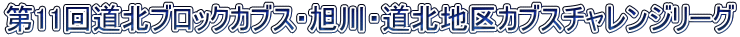 11񓹖kubNJuXEEknJuX`W[O