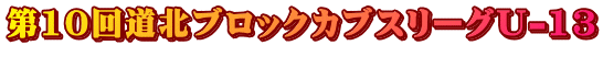 10񓹖kubNJuX[OU-13 