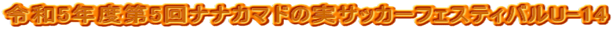 ߘa5Nx5iiJ}h̎TbJ[tFXeBoU-14